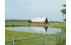 Property photo 15 - 480+/- Acres Offered in 6 Tracts
